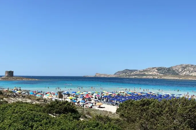 La Pelosa (foto Pala)