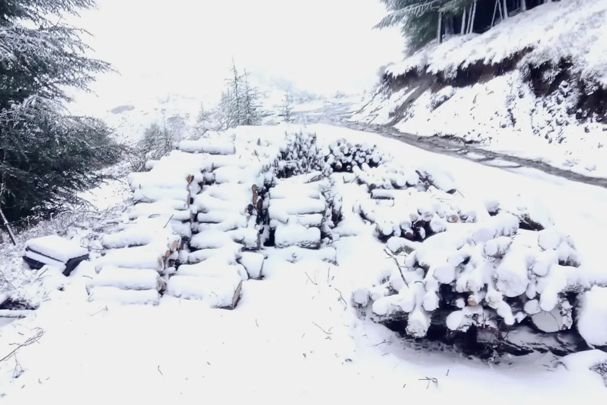 Fonni, 4-5 centimetri di neve a Su Separadorgiu: attese ulteriori nevicate (Daniela Melis)