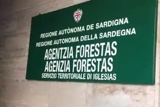 La sede di Forestas (L'Unione Sarda - foto Simbula)