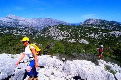 Guide turistiche al lavoro