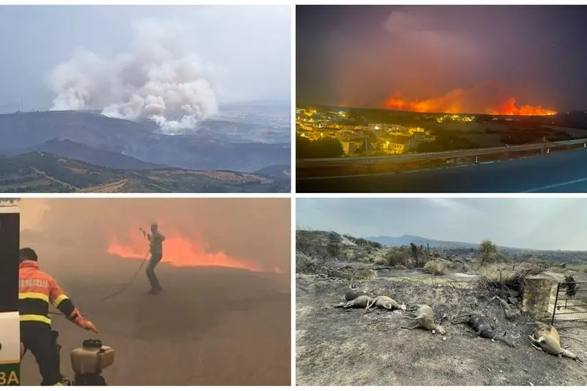 Quattro immagini delle devastazioni prodotte dai roghi (Credit: L'Unione Sarda, Vigili del fuoco. G.L.Deidda)