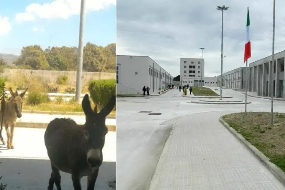 Il carcere di Nuchis; a sinistra gli asini