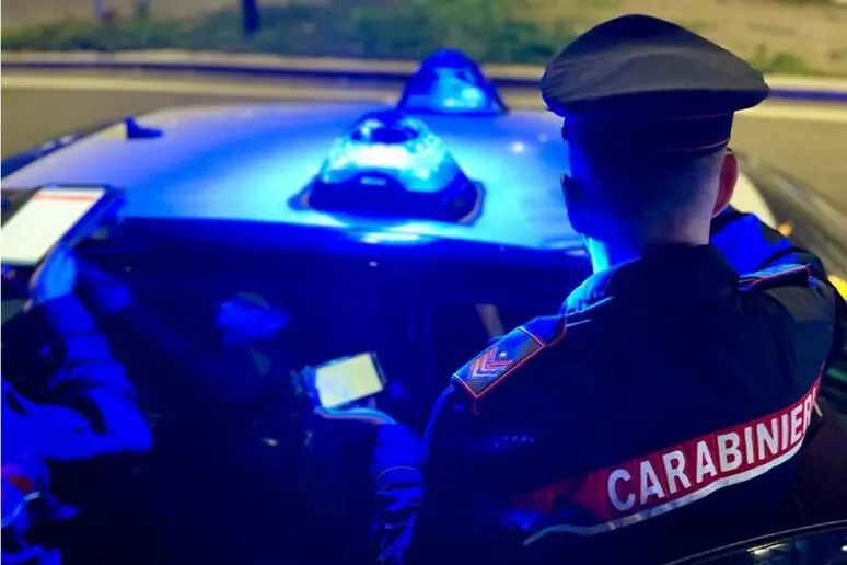 Carabinieri (foto Ansa)