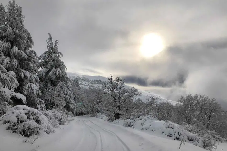 Neve a Fonni (foto del lettore Giuseppe Tatti)