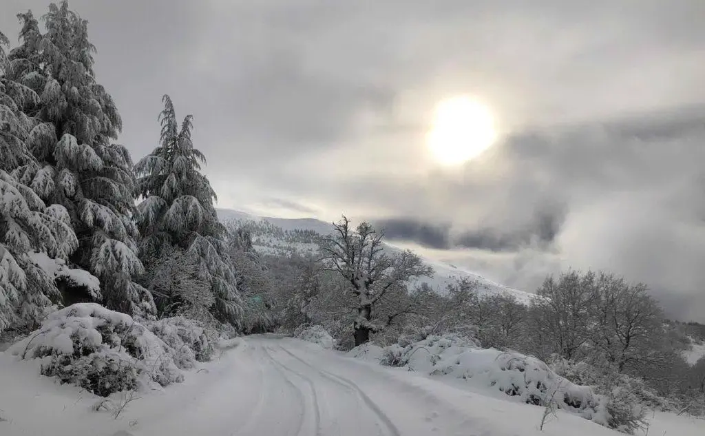 Neve a Fonni (foto del lettore Giuseppe Tatti)