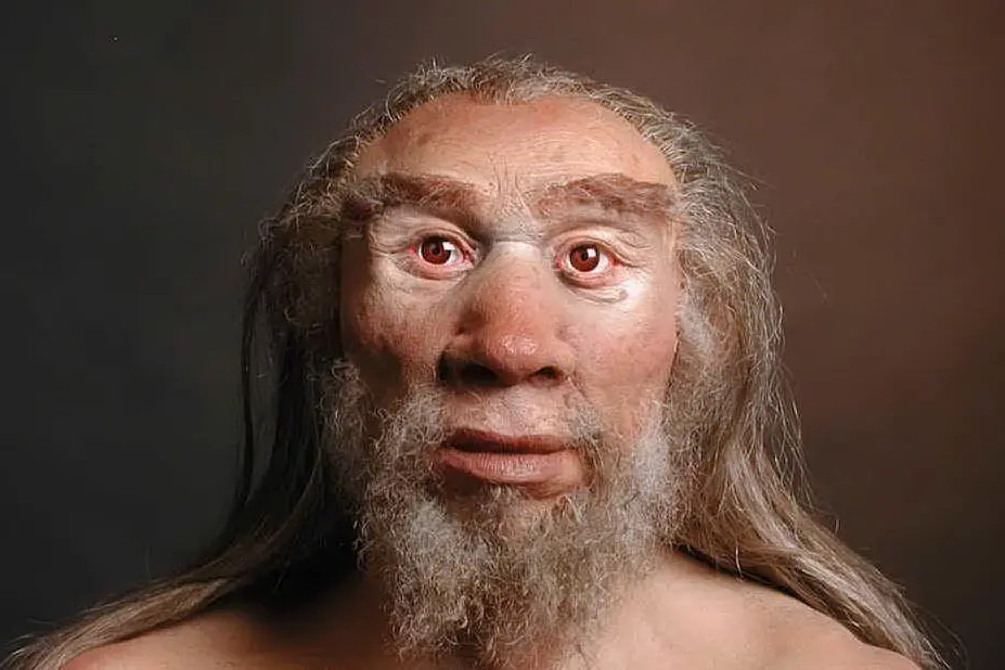 Ricostruzione del volto dell'Uomo di Neanderthal