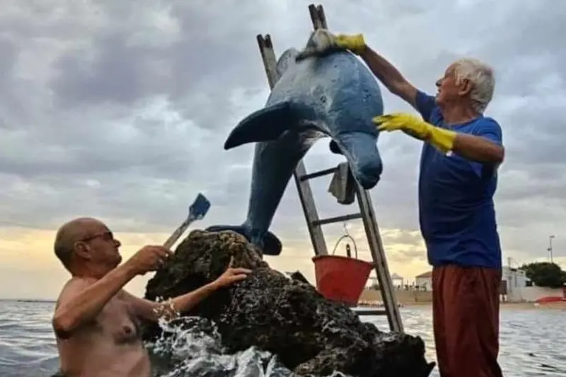 La riparazione del delfino