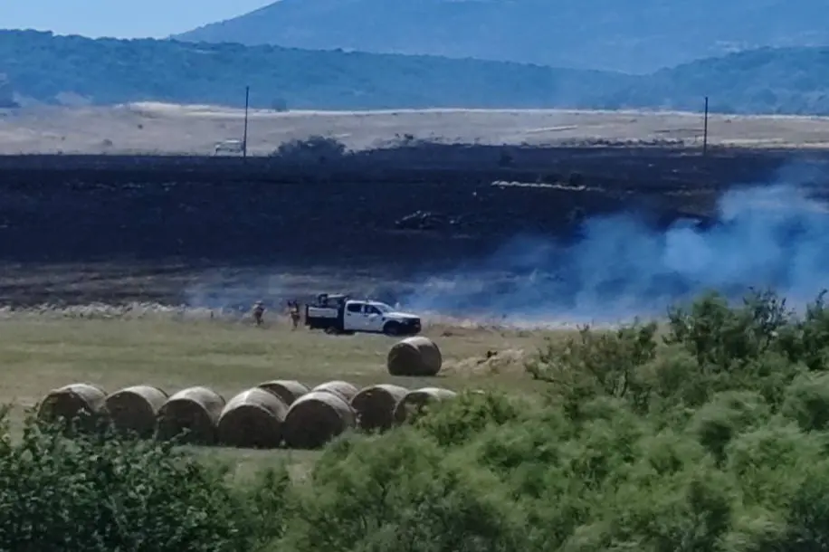 Un'area attraversata dal fuoco a Noragugume (Foto: Comune)