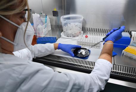 Tumore al pancreas, dagli Usa la nuova terapia che raddoppia la sopravvivenza: «Efficacia senza precedenti»