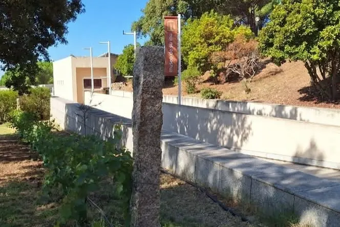 Museo del vino di Berchidda