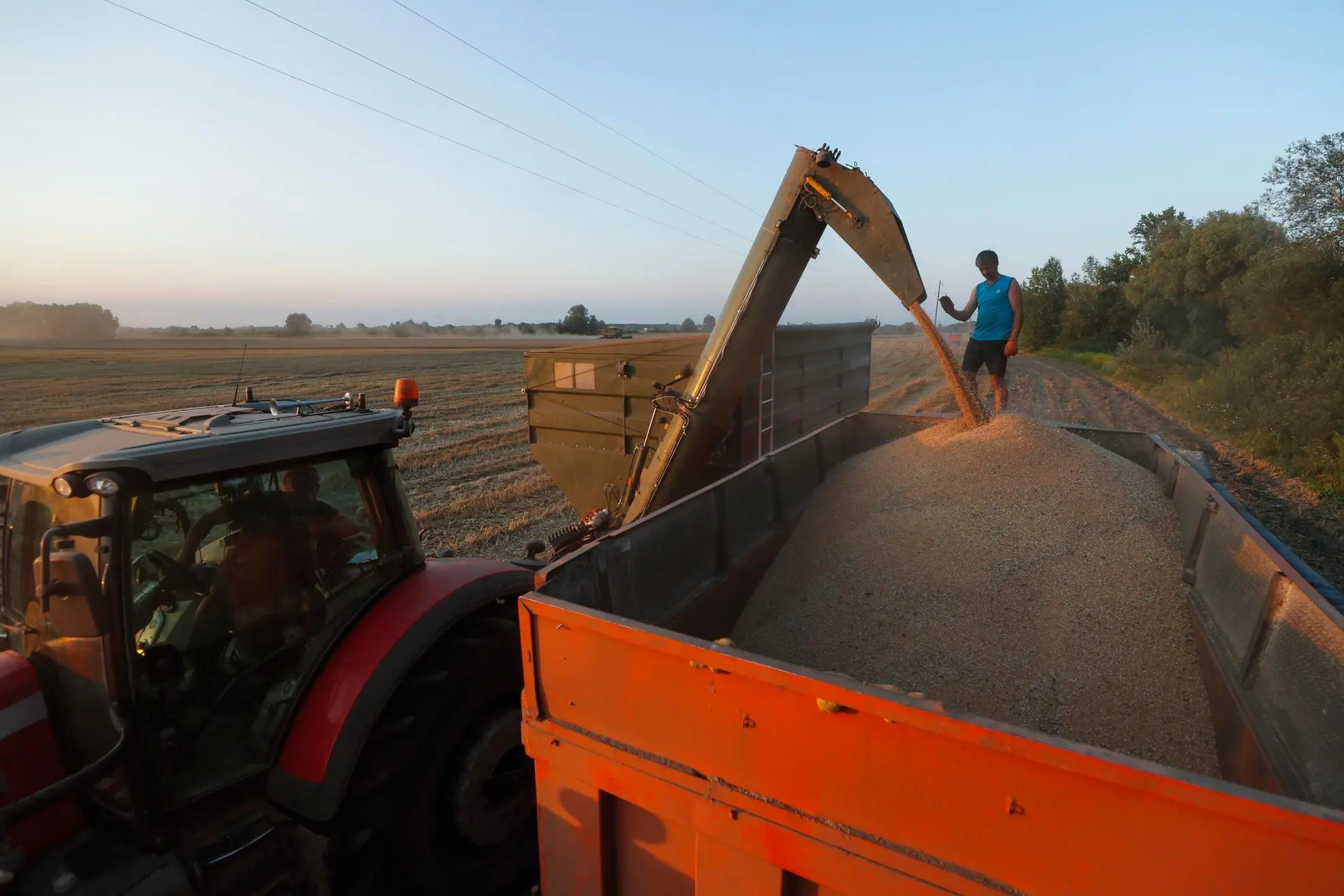 Un tir carico di grano in Ucraina (Ansa-Epa)