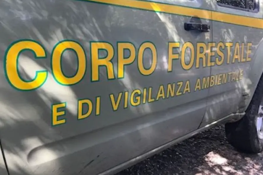 Corpo Forestale