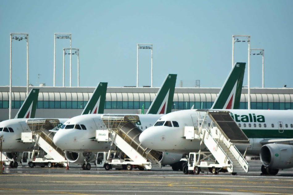 Alitalia, arrivate quattro offerte. Di Maio: &quot;Subito la scelta&quot; VIDEO