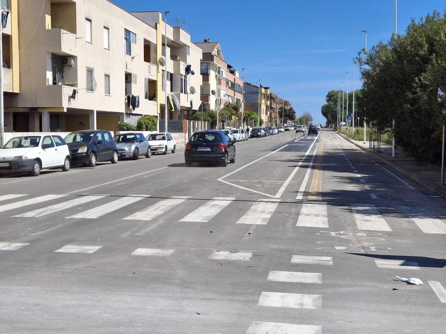 Quartu, task force per scongiurare una nuova invasione di blatte