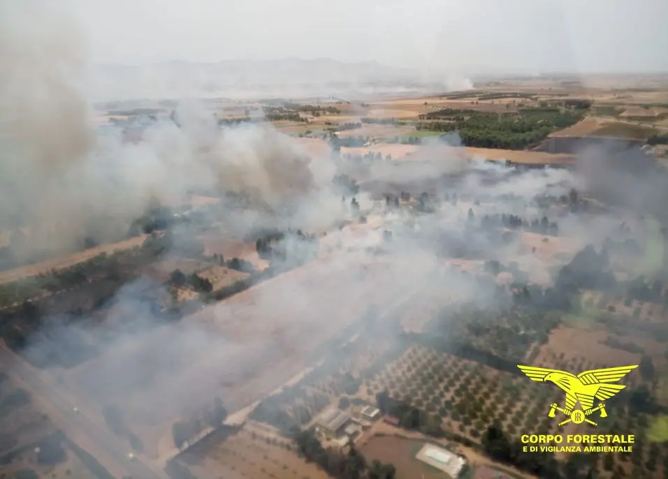 L'incendio di San Sperate visto dall'alto (foto Corpo forestale)