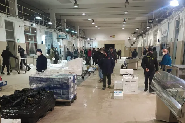 Il mercato ittico all'ingrosso