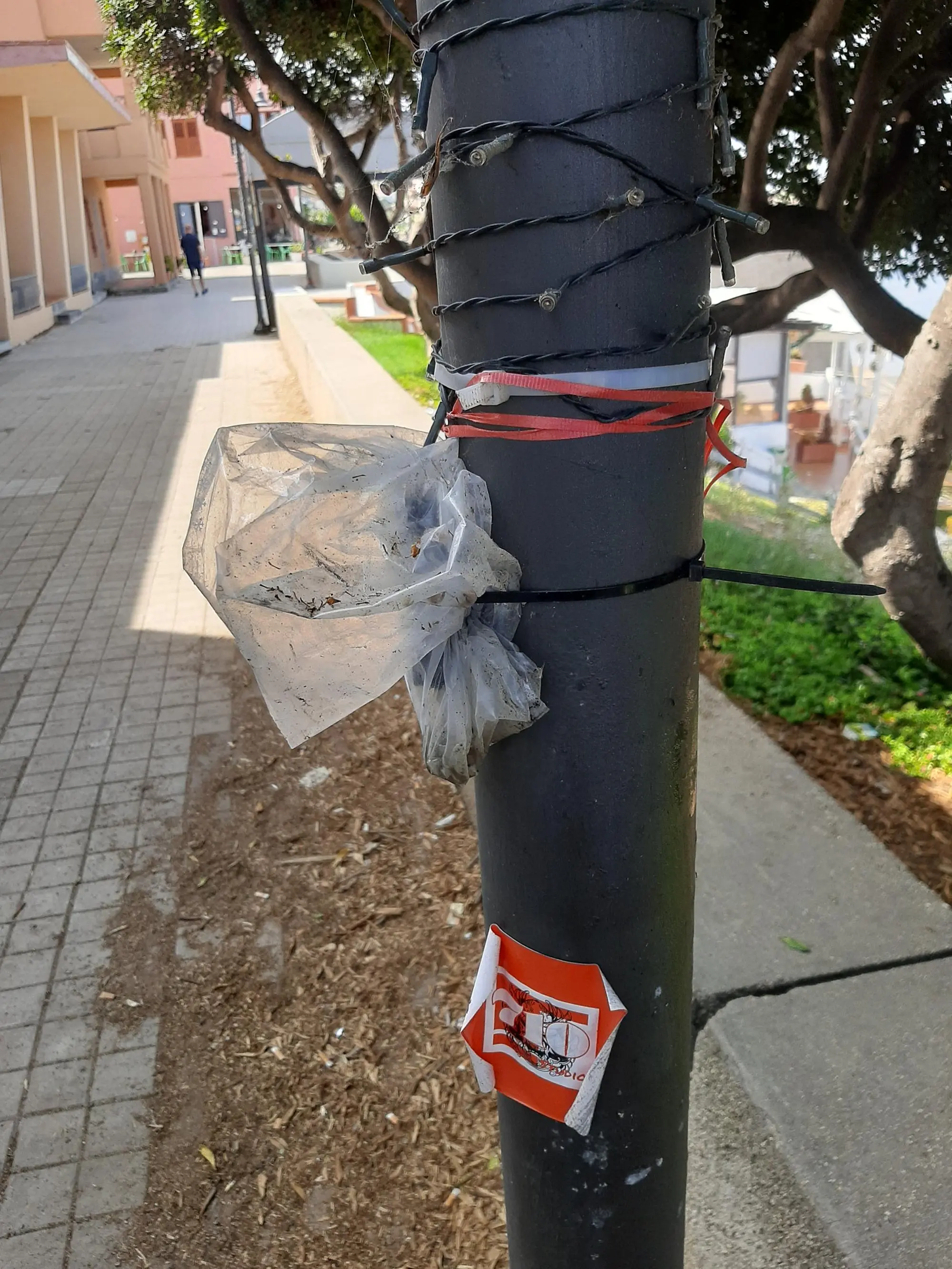 S'Archittu, deiezioni cani