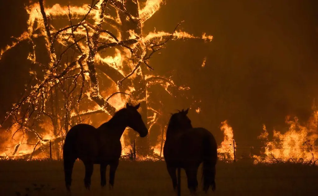 Inferno di fuoco in Australia