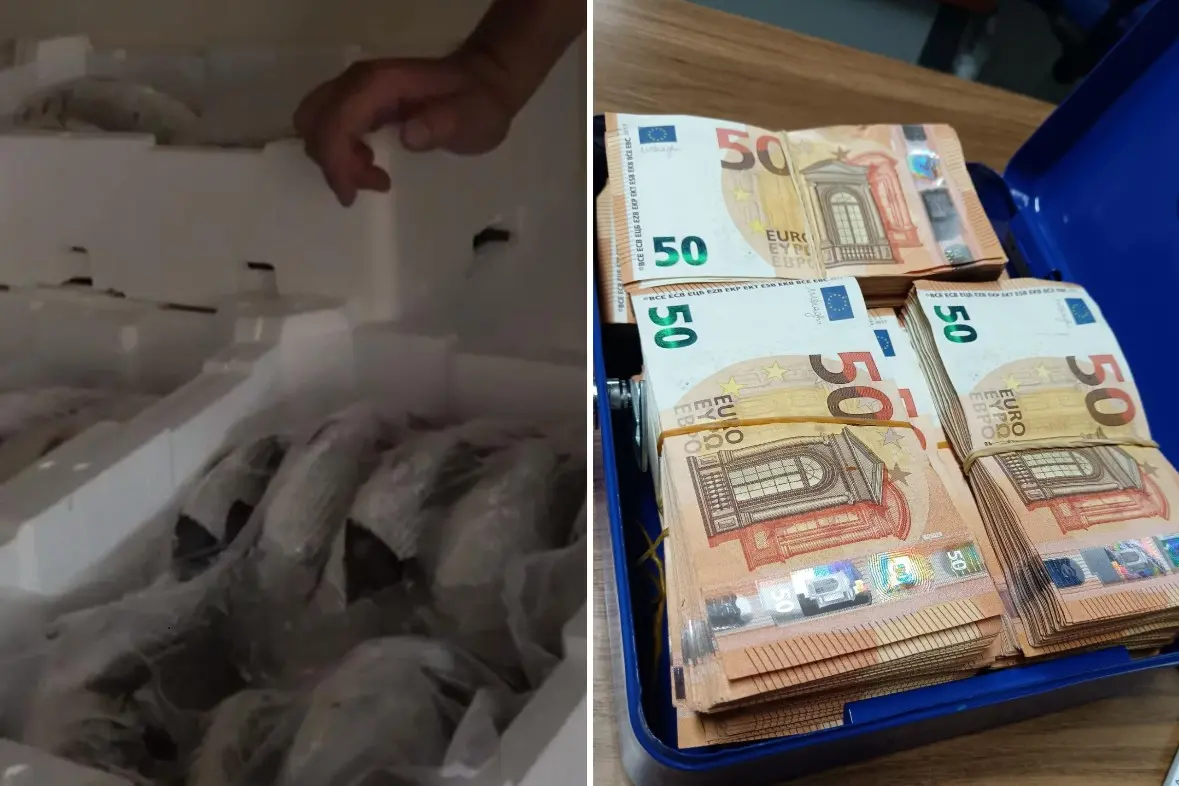 Il pesce e i soldi sequestrati a Oristano (foto Polizia)