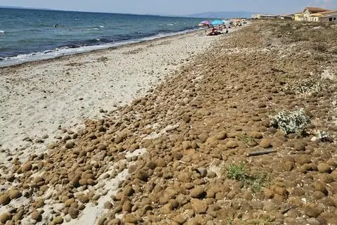 Il litorale (foto concessa)