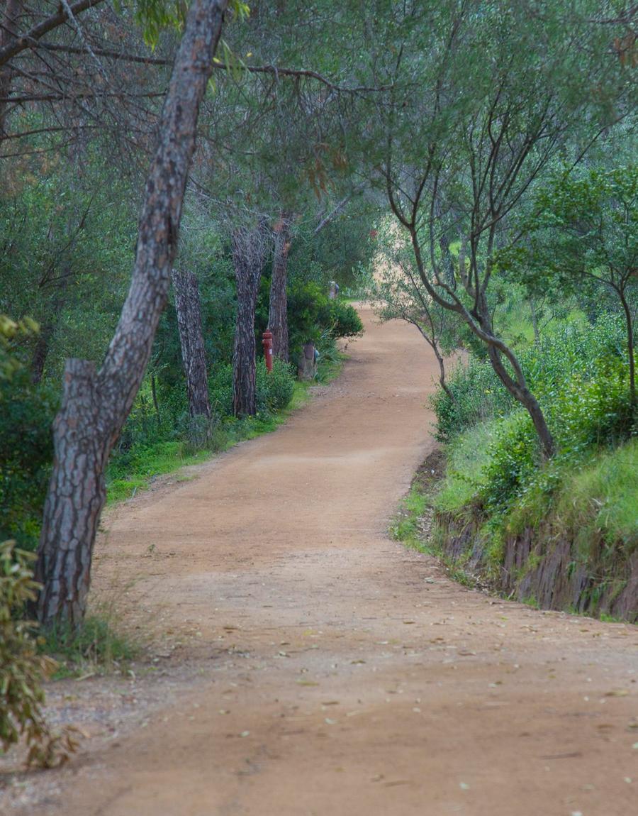 Mezzo milione per monte Rosmarino