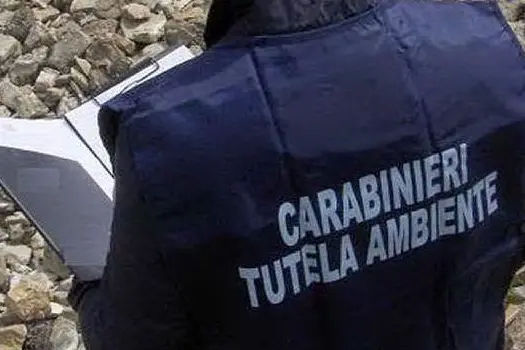 I carabinieri del Noe di Cagliari (foto L'Unione Sarda - Sanna)