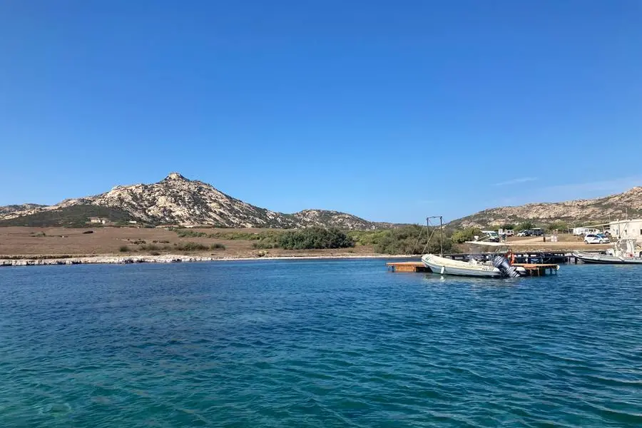 L'isola dell'Asinara (foto M.Pala)