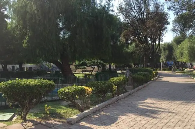 Un'area verde di Quartu