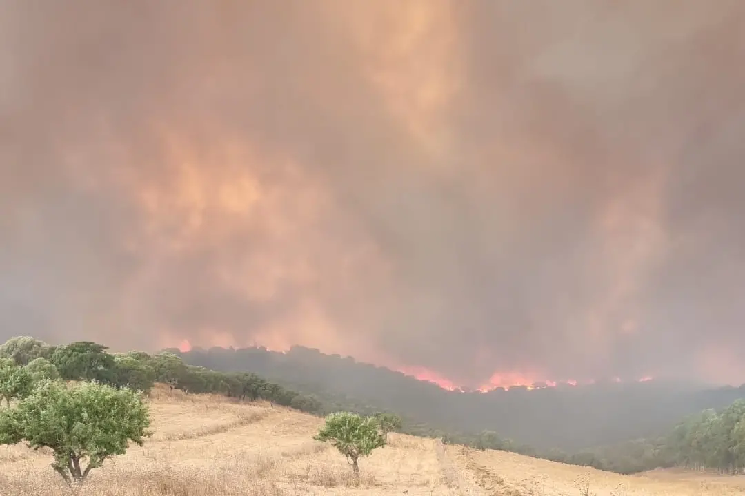 L'incendio a Villacidro (foto carabinieri Cagliari)