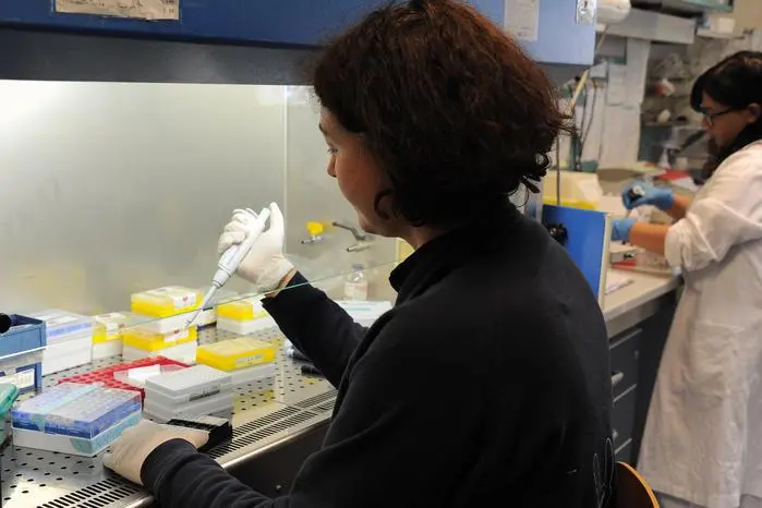 Laboratorio di ricerca (foto Ansa)