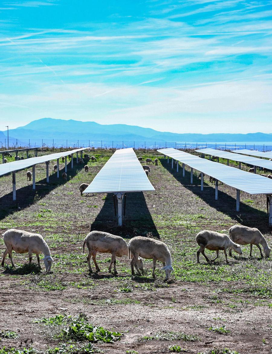 «La Sardegna già produce più energia del necessario»