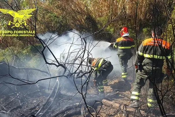 L'incendio a Santa Giusta (Foto Corpo Forestale)