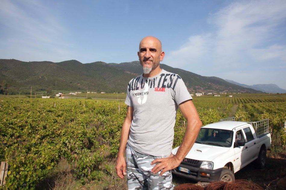 Il sindaco Marco Melis di fronte alle vigne di Quirra (foto Simone Loi)