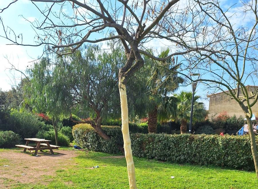 Blitz dei vandali, il Comune chiude i parchi alle 20