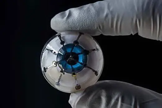 Il prototipo di occhio bionico (foto University of Minnesota)