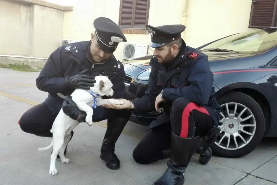 Il cucciolo insieme ai carabinieri che lo hanno ritrovato