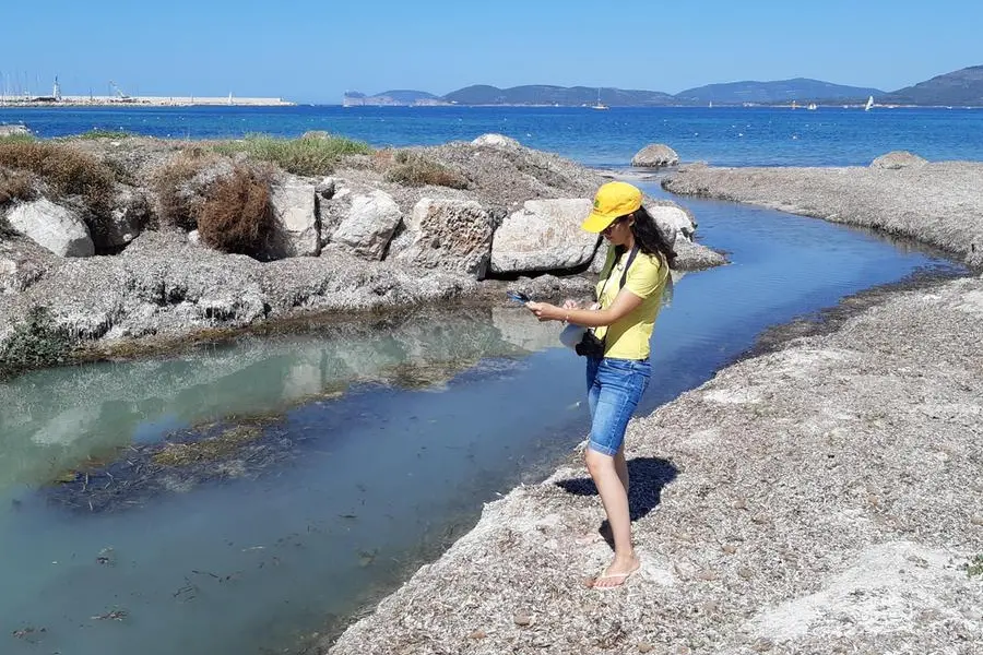 I campionamenti lungo le coste della Sardegna (foto ufficio stampa)