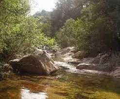 contentid/19f50772-835a-4f73-8267-1959f641e92f