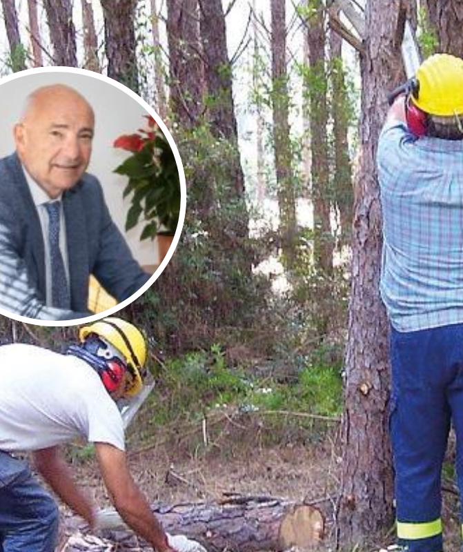 Forestas, Piras ricorre al Tar