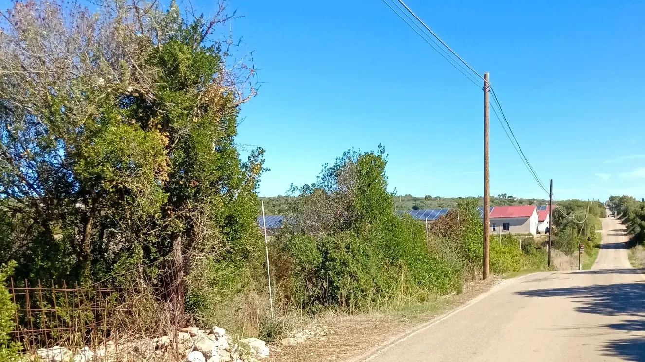 Sassari, an alleged intensive breeding farm of 2,000 pigs in Caniga