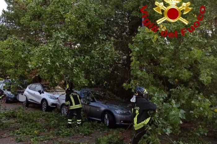 Gli alberi caduti sulle auto (foto Vigili del fuoco)