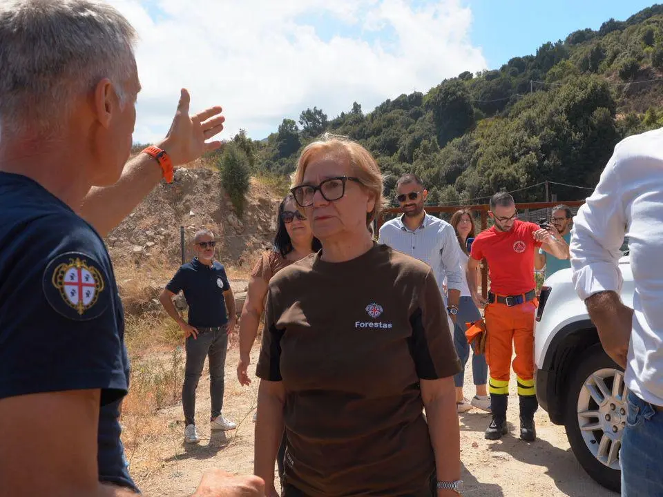 Sopralluogo dopo l'incendio di Arzana, l’assessora Laconi con la maglia di Forestas: «Siamo una macchina fantastica» L'assessora Laconi e il sopralluogo (foto Secci)