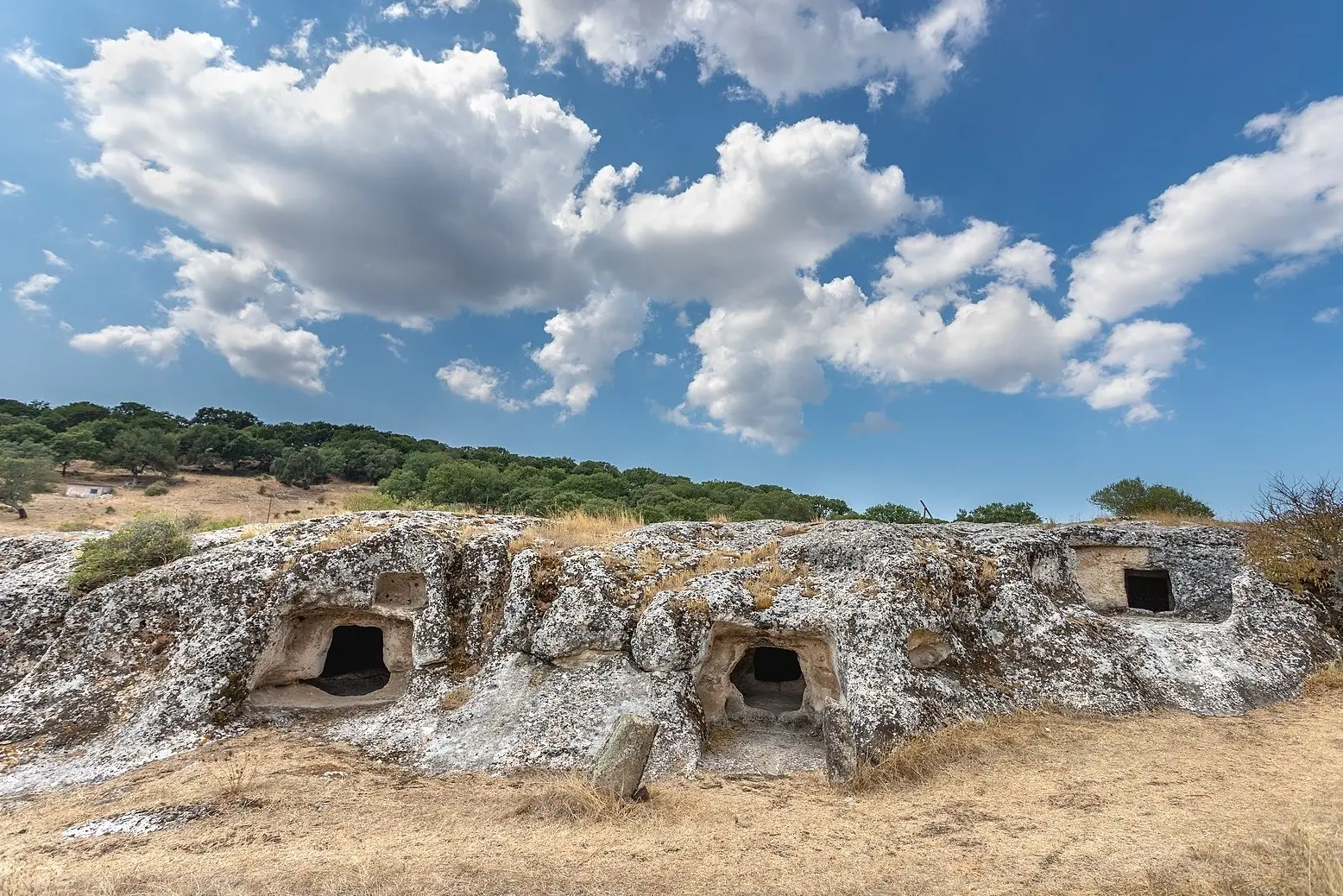 Le domus di Janas Puttu Codinu (Comune di Villanova Monteleone)