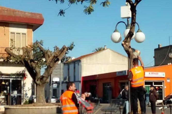 Serramanna: la potatura degli alberi costa 14mila euro