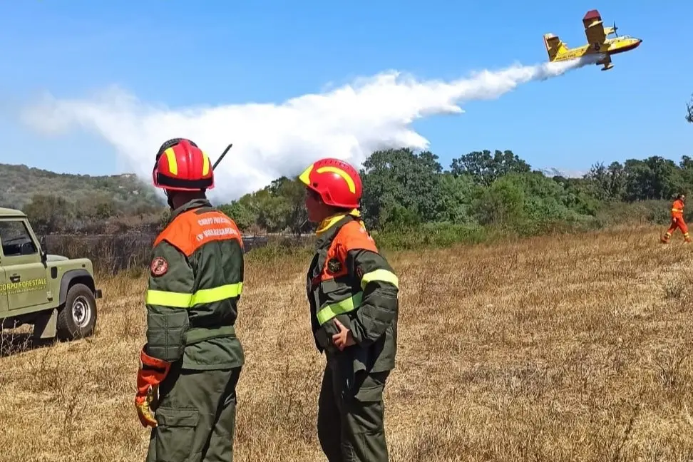 Canadair al lavoro su un incendio