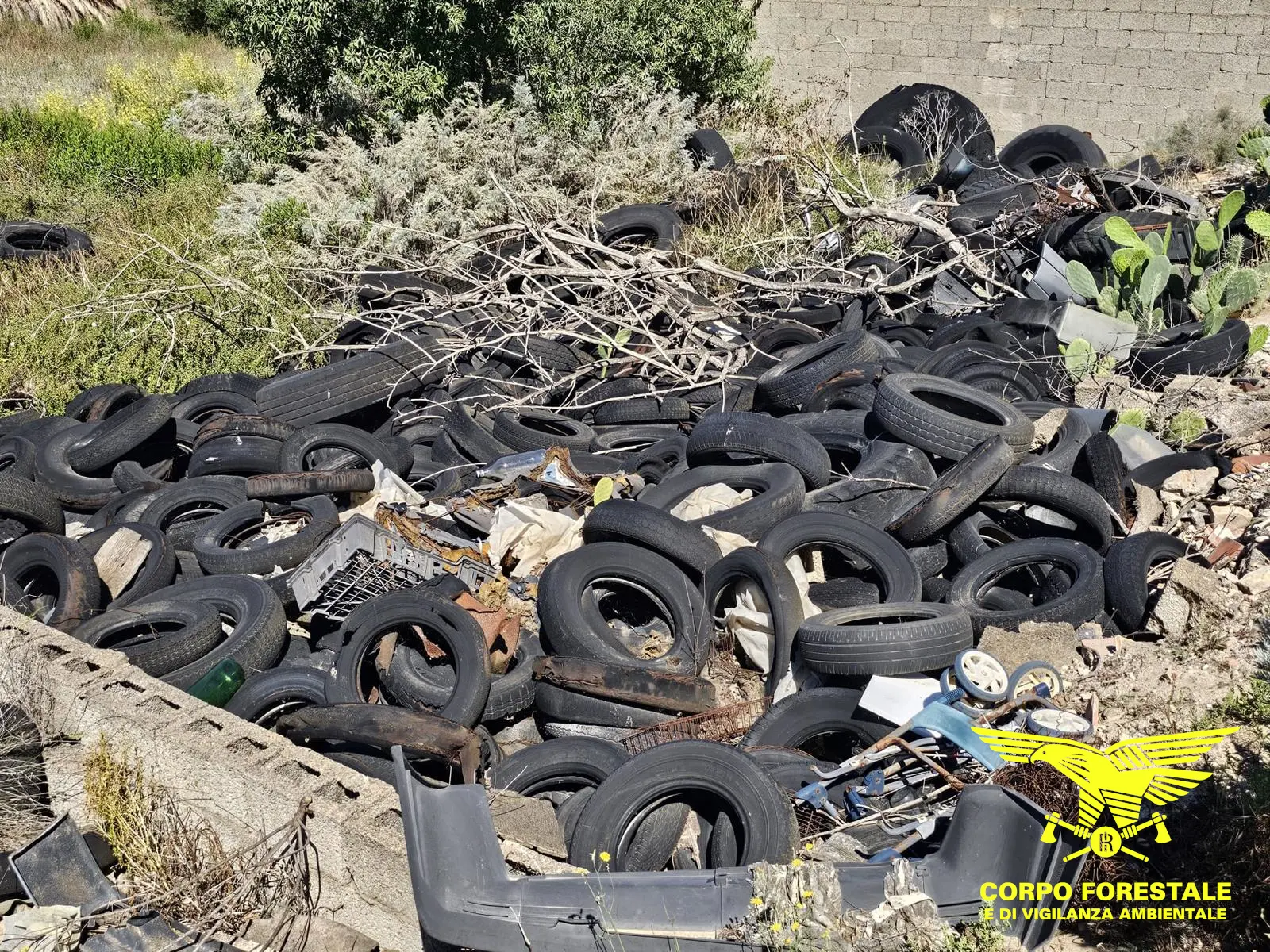 Pneumatici abbandonati (foto Corpo forestale)