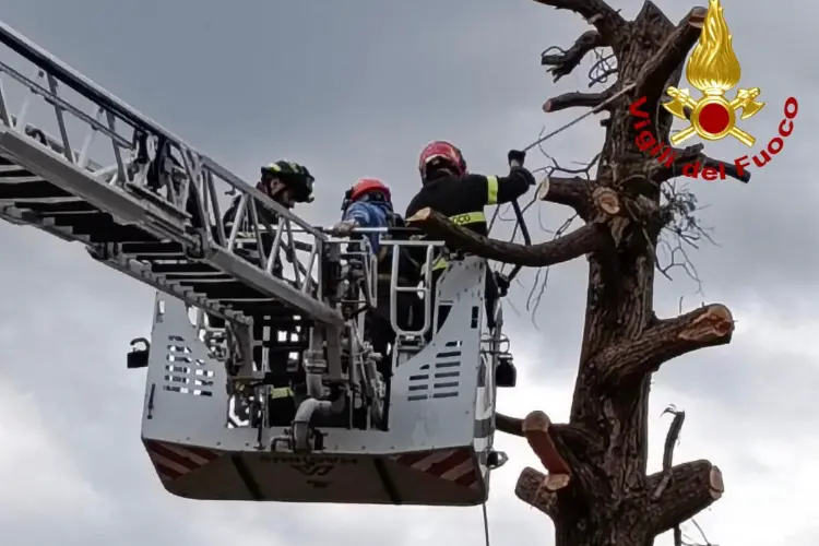 L'intervento dei vigili del fuoco a Sorso (foto vvf)