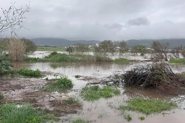Campi allagati ad Ozieri (foto concessa)