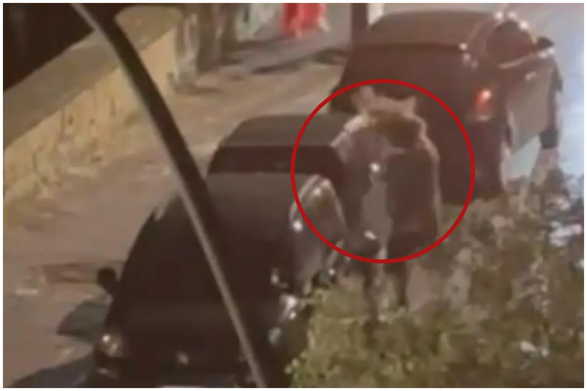 Un fermo immagine dal video circolato sul web