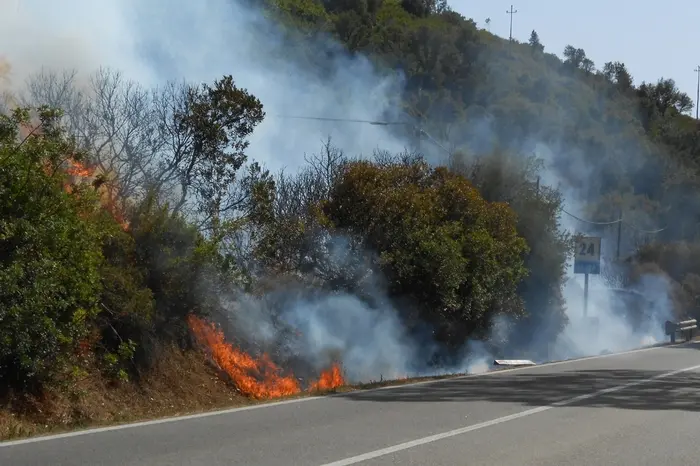Un incendio a Villacidro (Ansa)